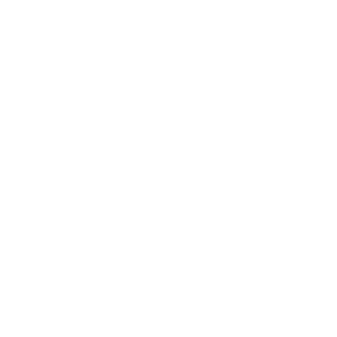 Phonograph Repair & Restoration: Bringing Music Back to Life